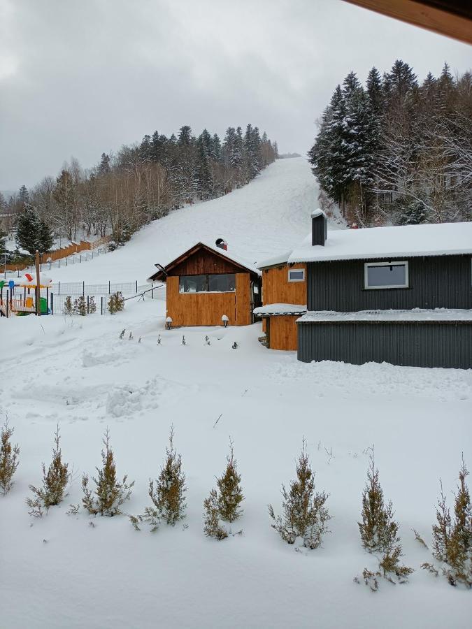 Dana Apartament *